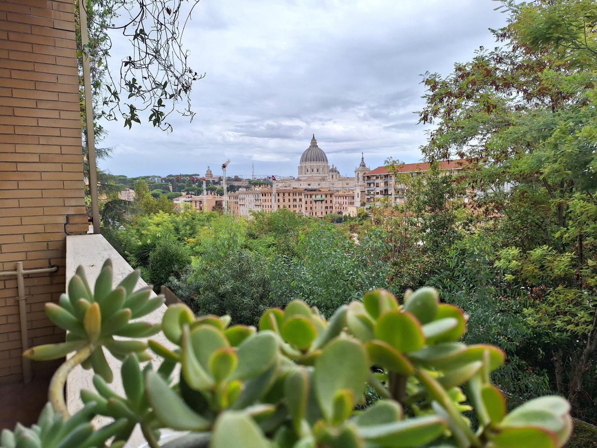 Delmirani'S Book Apartments - Vatican View Roma Eksteriør bilde