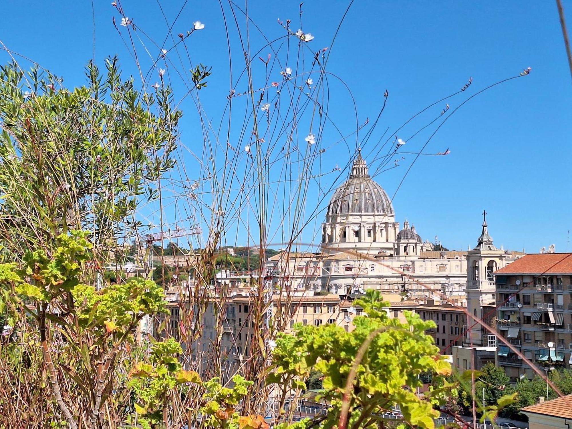 Delmirani'S Book Apartments - Vatican View Roma Eksteriør bilde